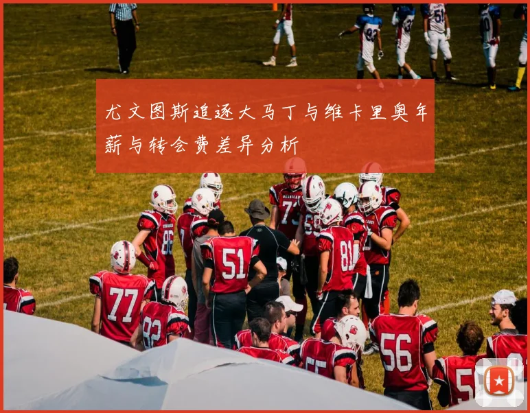 尤文图斯追逐大马丁与维卡里奥年薪与转会费差异分析